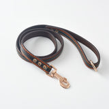 Dog Collar \Leash - FURRY FRIENDS