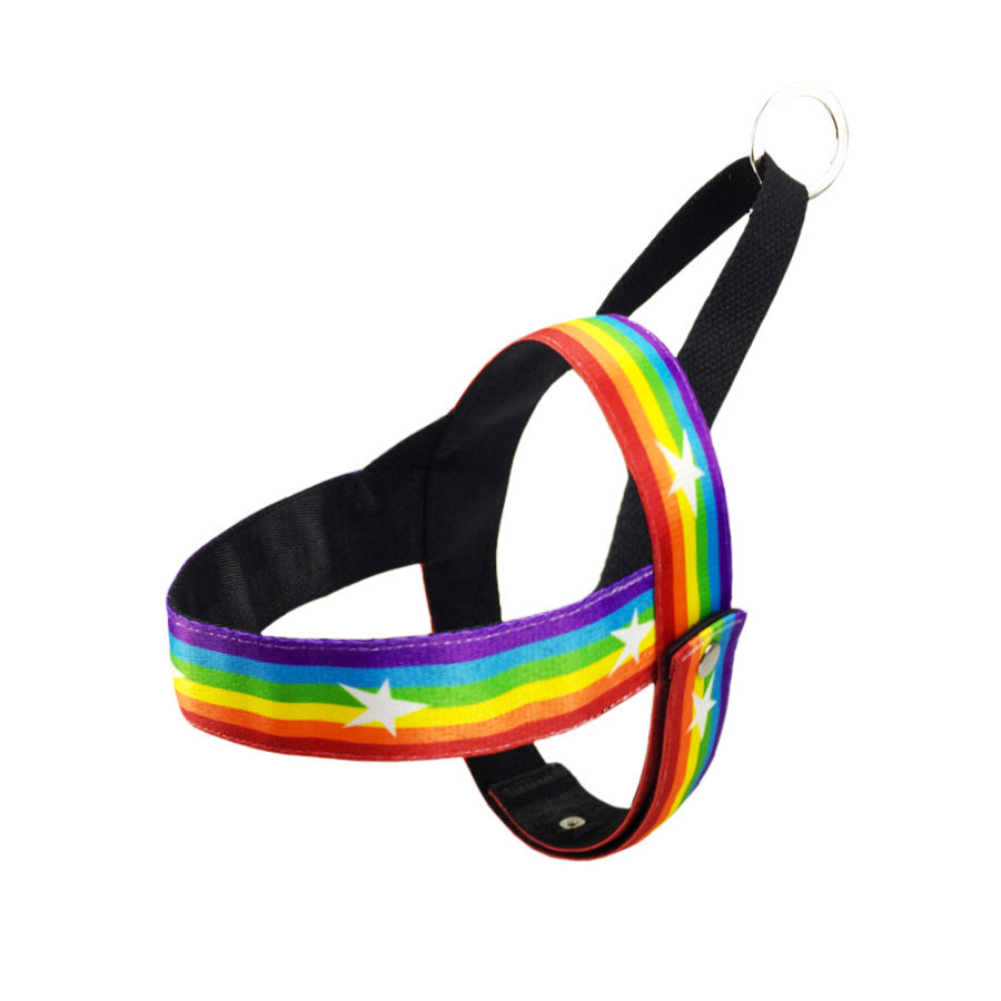 Rainbow cool dog chain leash - FURRY FRIENDS