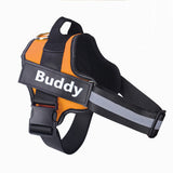 Personalized Dog Harness NO PULL - Shaya. Aproducts™