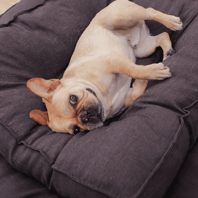 -sleepy -Dog Pillow Bed - FURRY FRIENDS