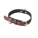 Dog Collar \Leash - FURRY FRIENDS