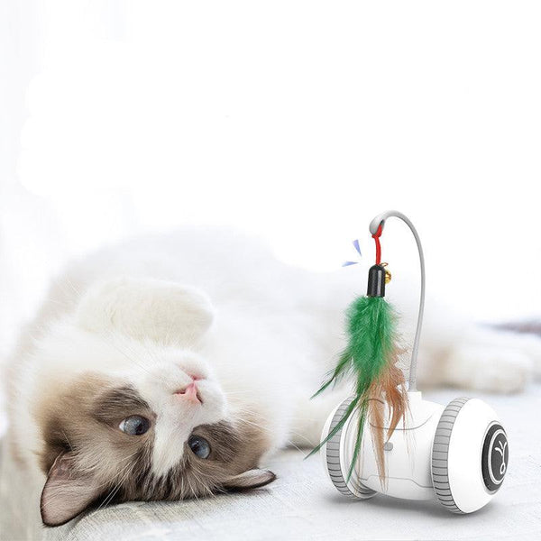 Interactive Cat Toy - Shaya. Aproducts™