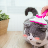 Cat comb hair removal - FURRY FRIENDS