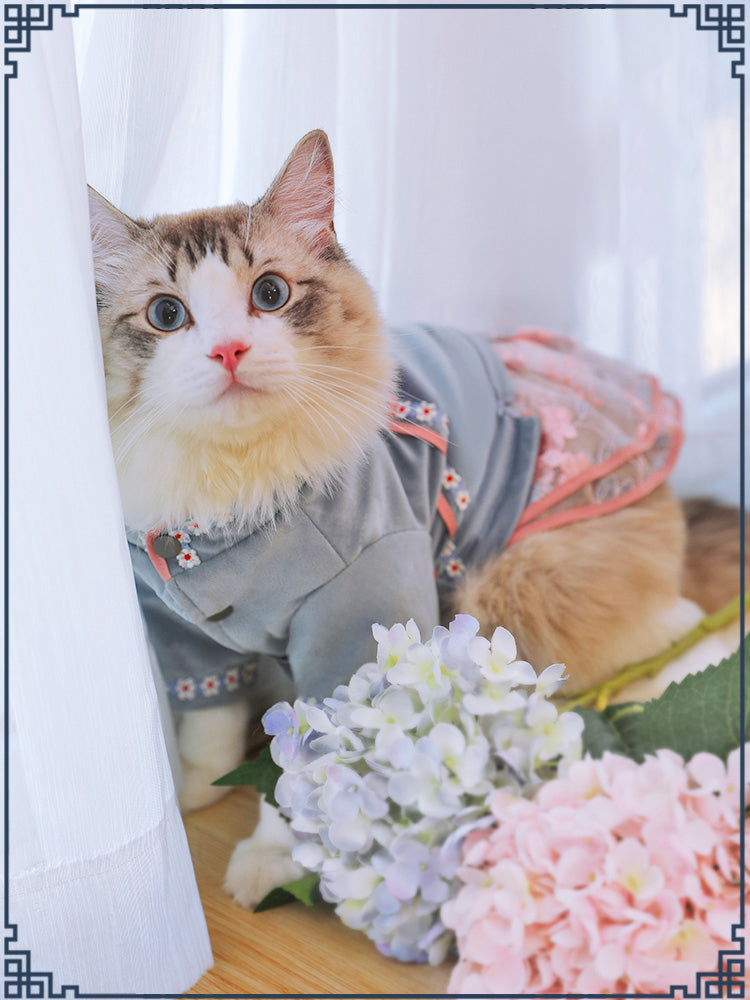 Pet cat clothes - FURRY FRIENDS