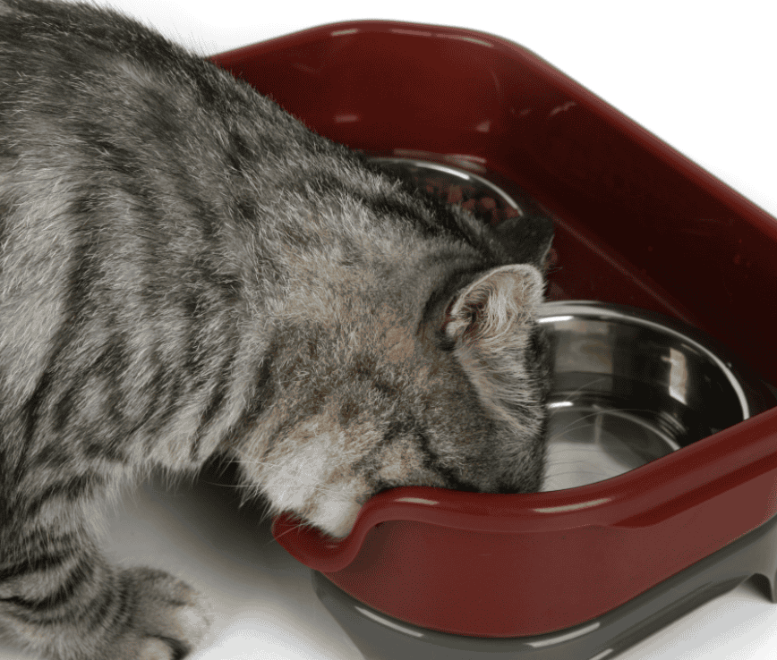 Dog& cat bowl - FURRY FRIENDS