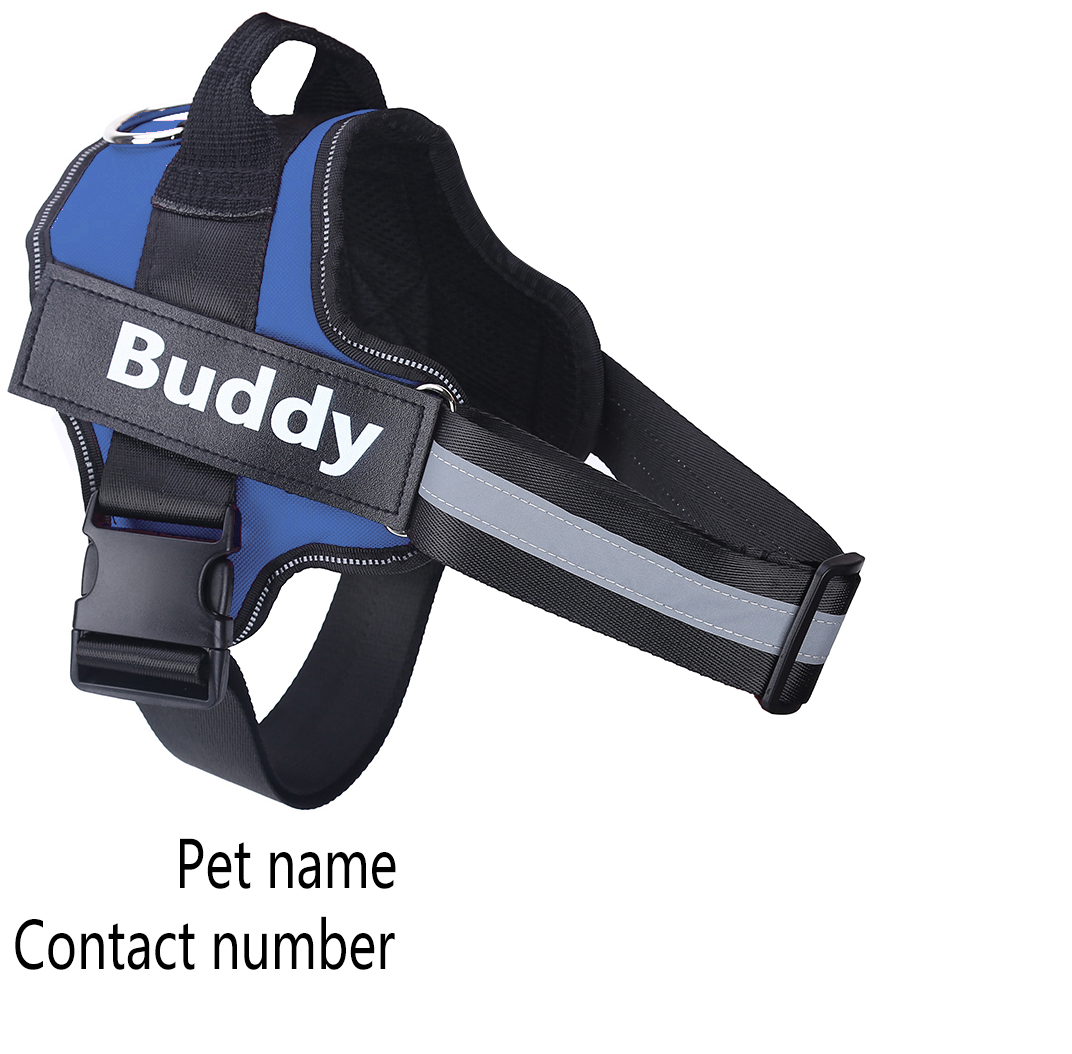 Personalized Dog Harness NO PULL - Shaya. Aproducts™