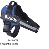 Personalized Dog Harness NO PULL - Shaya. Aproducts™