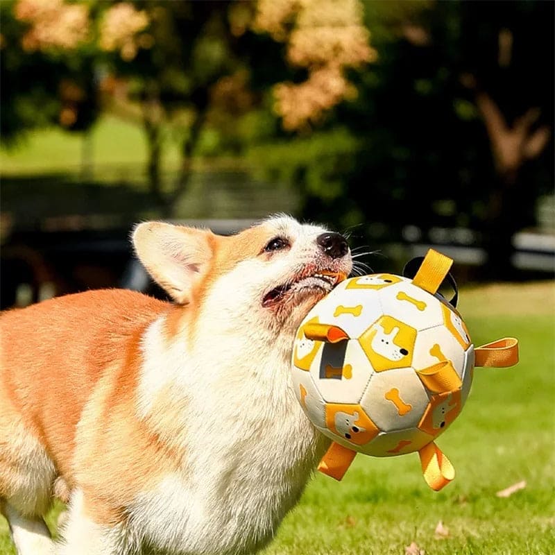 Dog Interactive Football Toys - FURRY FRIENDS