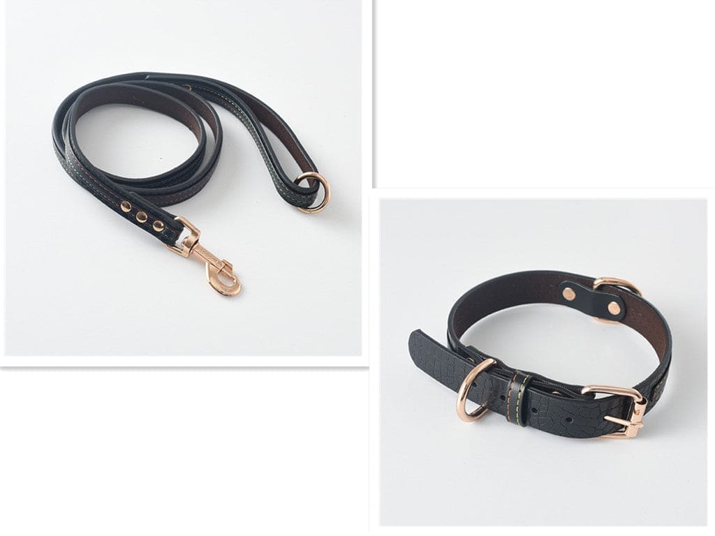 Dog Collar \Leash - FURRY FRIENDS