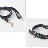 Dog Collar \Leash - FURRY FRIENDS