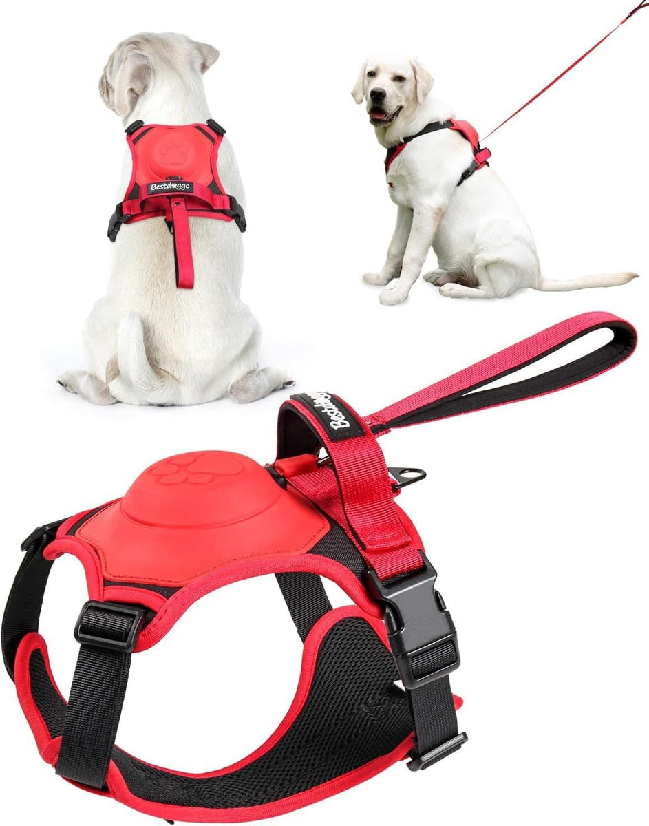 Dog Harness.