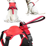 Dog Harness.