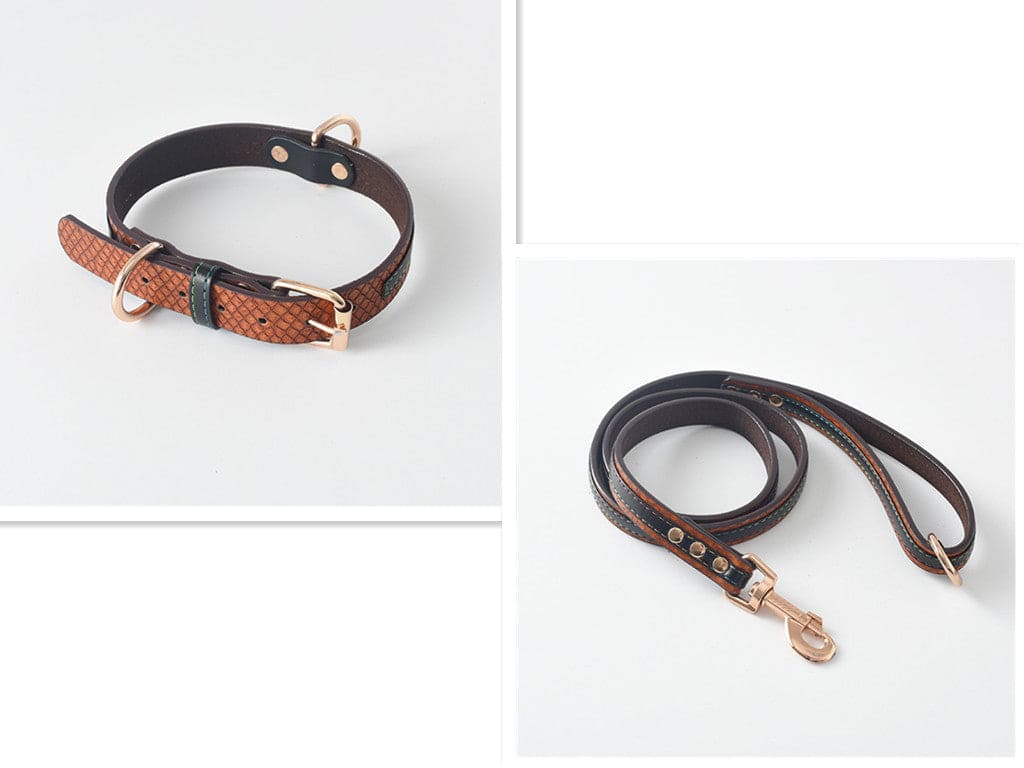 Dog Collar \Leash - FURRY FRIENDS