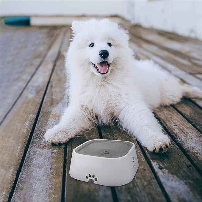 Magic Water Bowl - FURRY FRIENDS