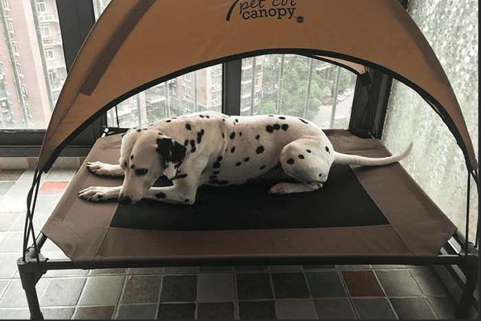 dog moisture-proof camp bed - FURRY FRIENDS