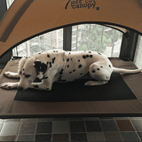 dog moisture-proof camp bed - FURRY FRIENDS