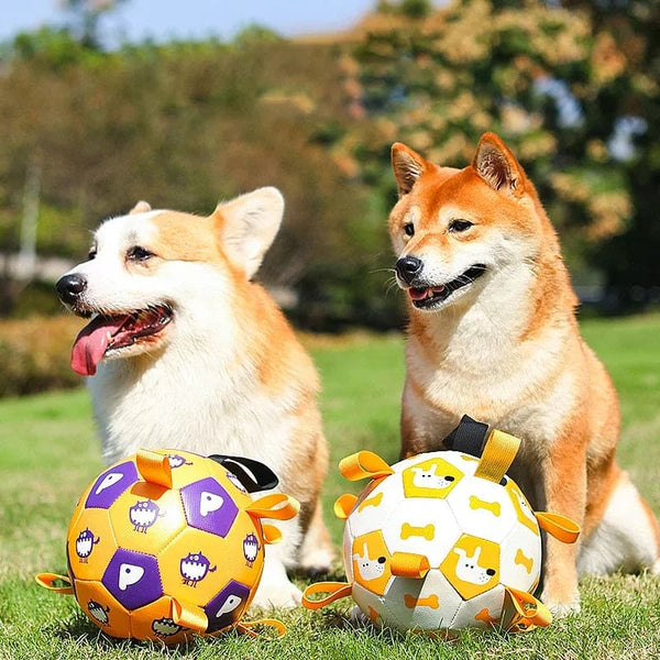 Dog Interactive Football Toys - FURRY FRIENDS