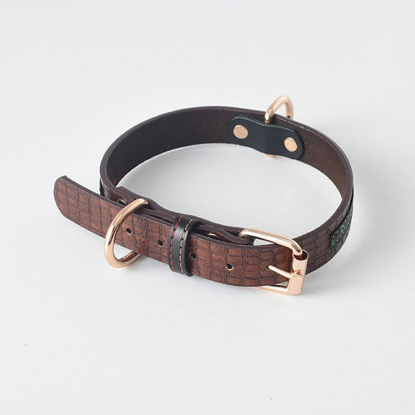 Dog Collar \Leash - FURRY FRIENDS