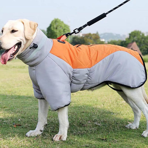 Winter Dog Coat - FURRY FRIENDS