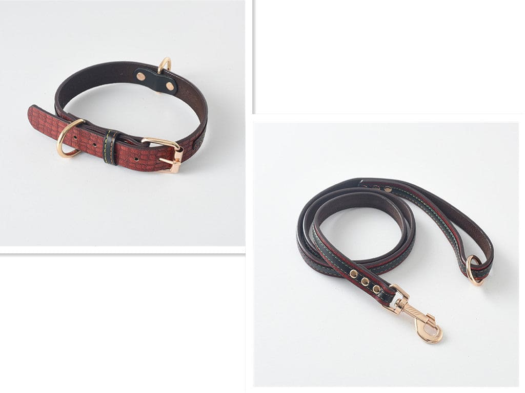 Dog Collar \Leash - FURRY FRIENDS