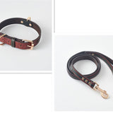 Dog Collar \Leash - FURRY FRIENDS