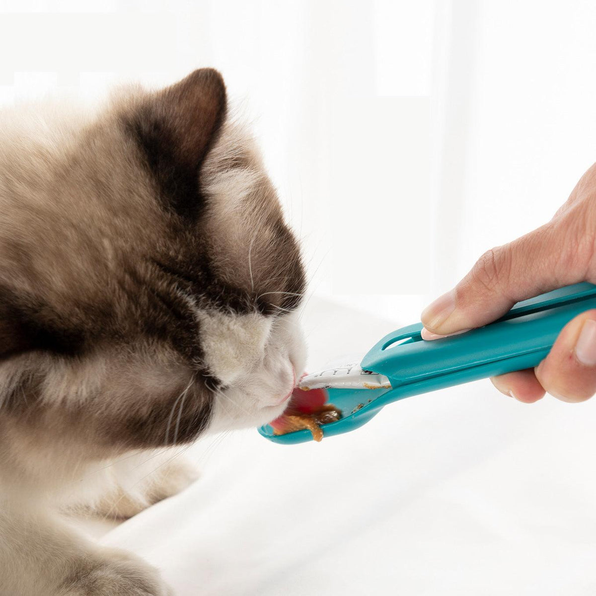 The Hot Cat Strip Spoon - Shaya. Aproducts™