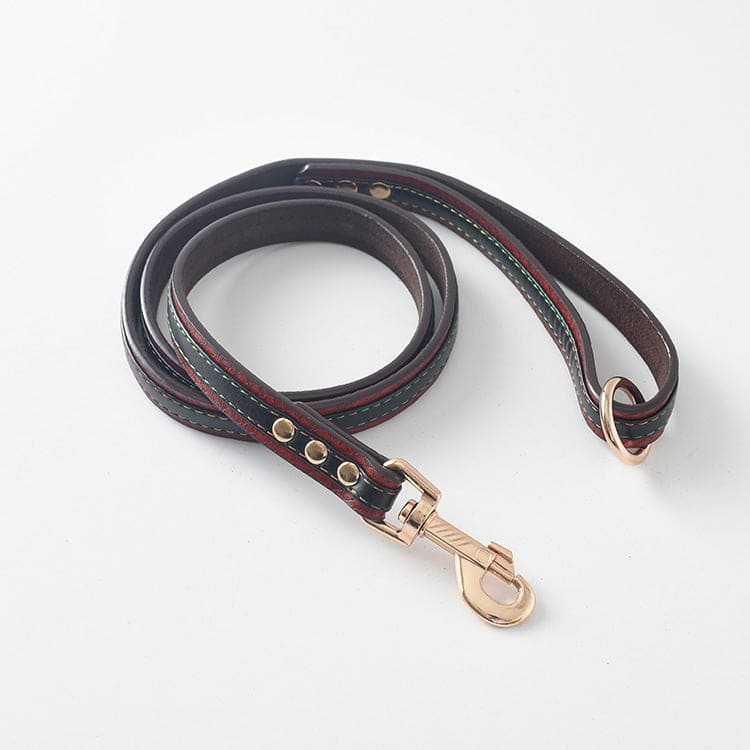 Dog Collar \Leash - FURRY FRIENDS