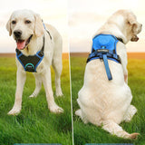 Dog Harness.