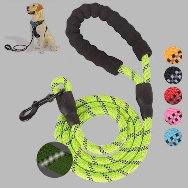 Pet Dog Luminous Leash - Shaya. Aproducts™