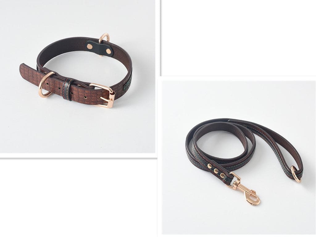 Dog Collar \Leash - FURRY FRIENDS