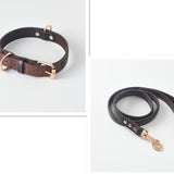 Dog Collar \Leash - FURRY FRIENDS