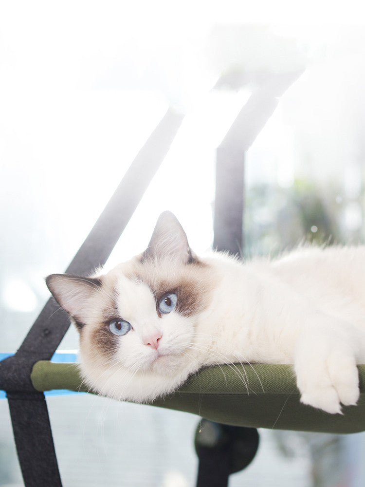 Cat Hammock - FURRY FRIENDS