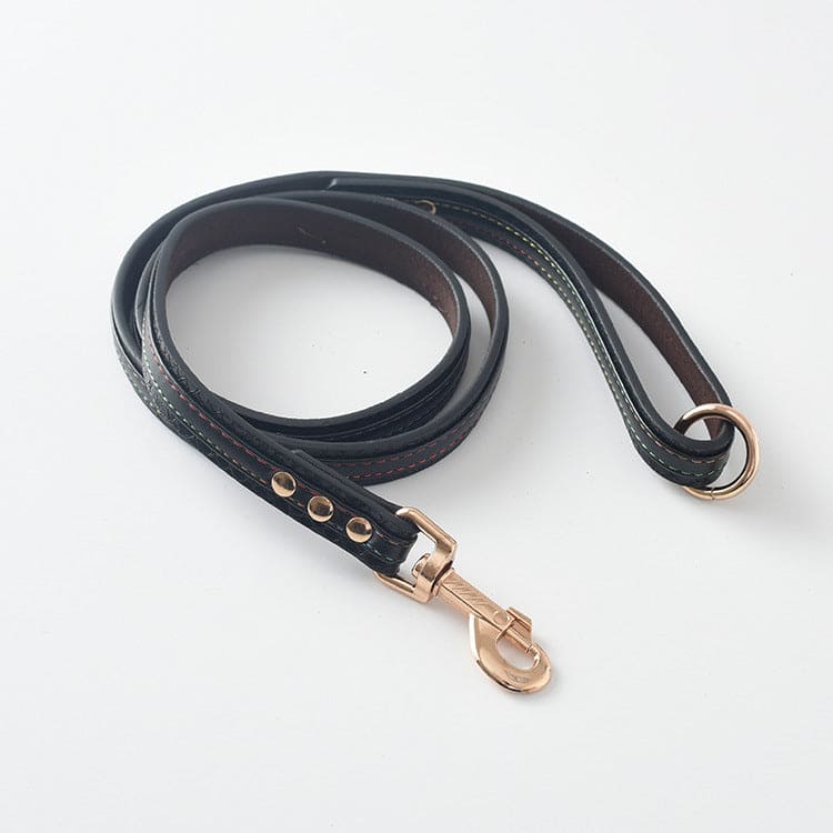 Dog Collar \Leash - FURRY FRIENDS