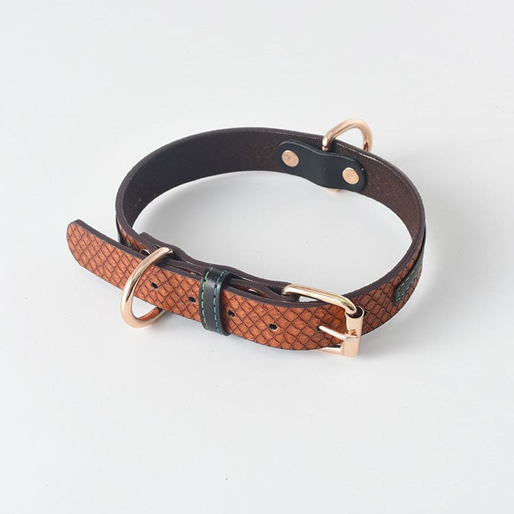 Dog Collar \Leash - FURRY FRIENDS