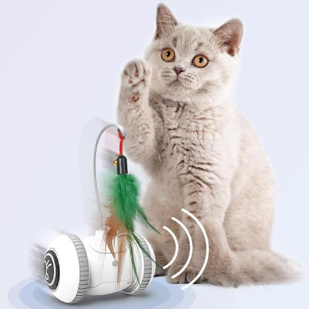 Interactive Cat Toy - Shaya. Aproducts™