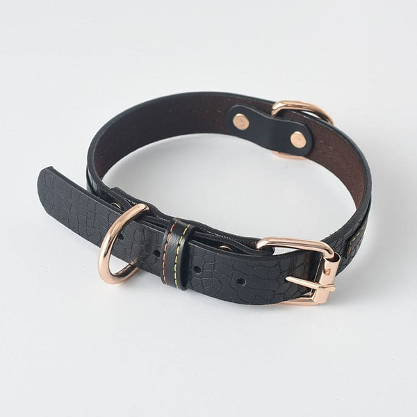 Dog Collar \Leash - FURRY FRIENDS