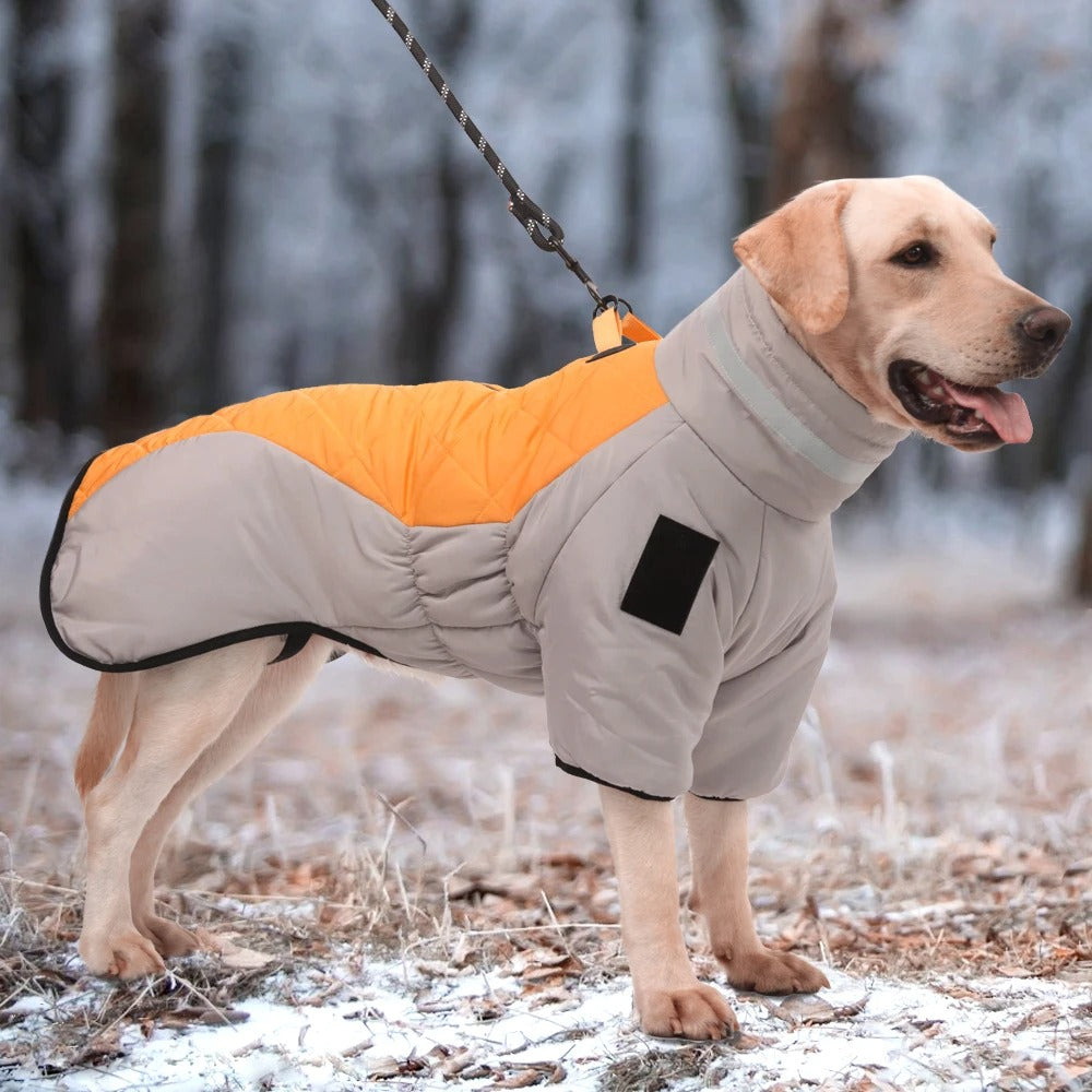 Winter Dog Coat - FURRY FRIENDS